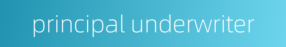 principal underwriter的同义词