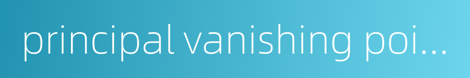 principal vanishing point的同义词