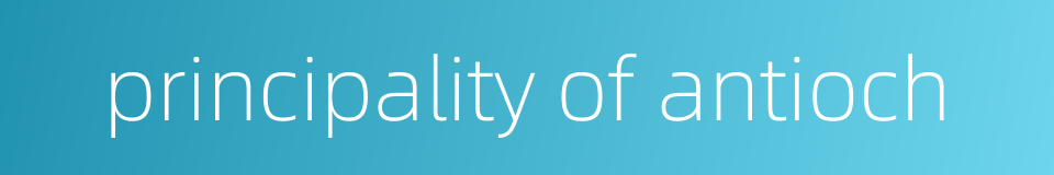 principality of antioch的同义词