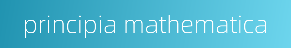principia mathematica的同义词