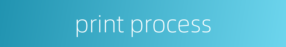 print process的同义词