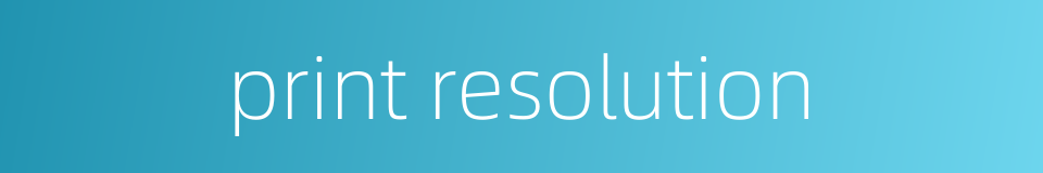 print resolution的同义词