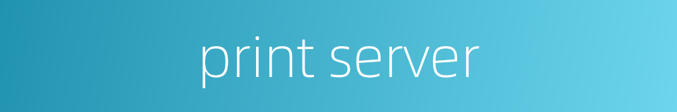 print server的同义词