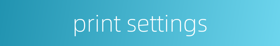 print settings的同义词