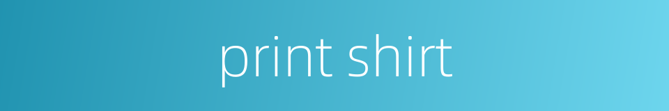 print shirt的同义词