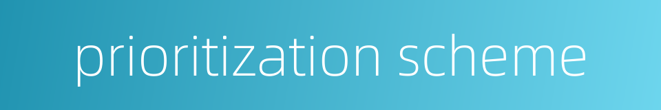 prioritization scheme的同义词