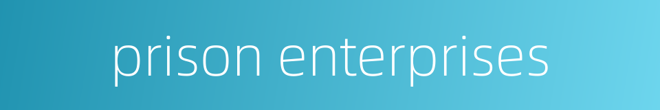 prison enterprises的同义词