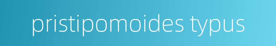 pristipomoides typus的同义词