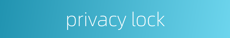 privacy lock的同义词