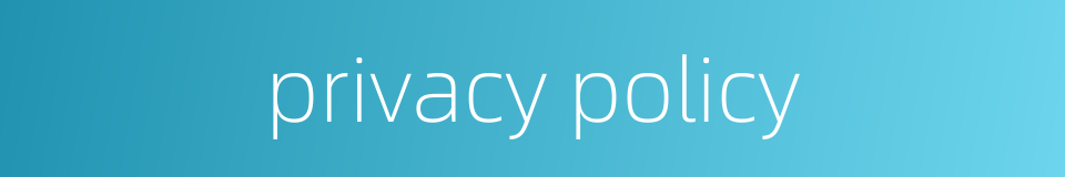 privacy policy的同义词