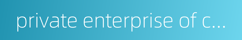 private enterprise of china的同义词