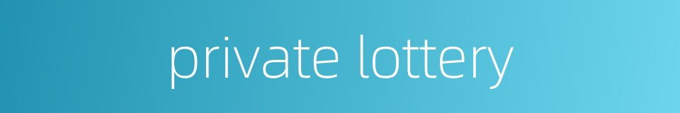 private lottery的同义词