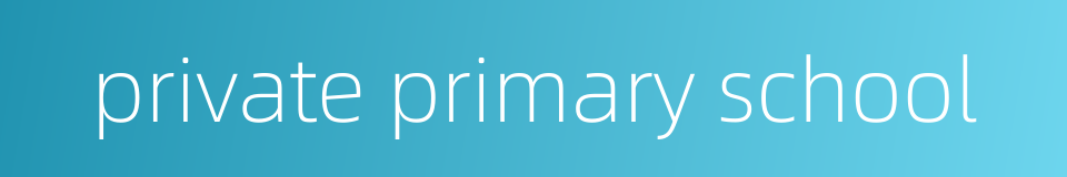 private primary school的同义词
