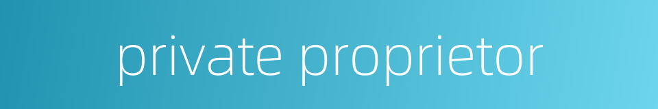 private proprietor的同义词