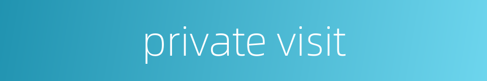 private visit的同义词