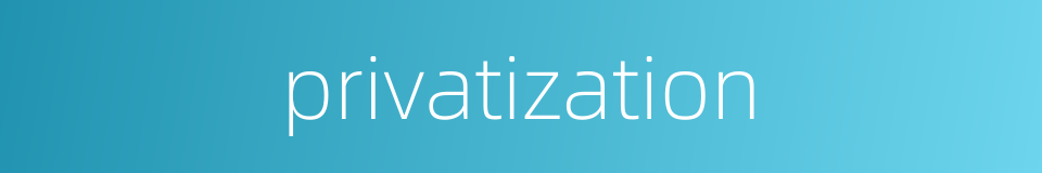 privatization的同义词