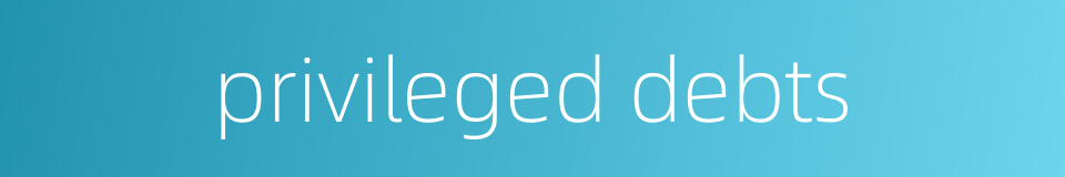 privileged debts的同义词