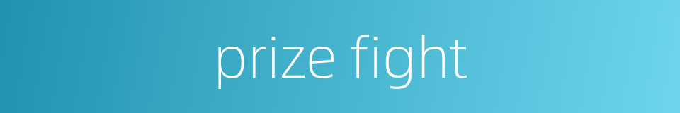 prize fight的同义词
