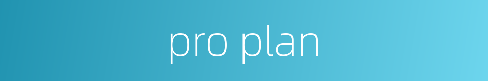pro plan的同义词