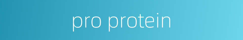 pro protein的同义词