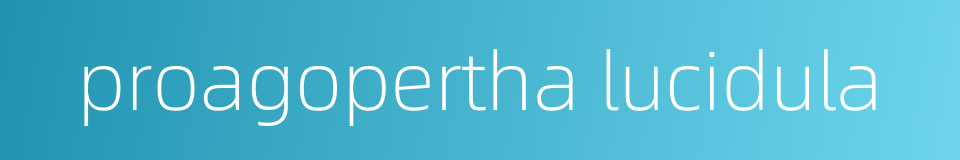 proagopertha lucidula的同义词