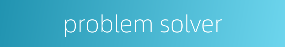 problem solver的同义词