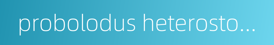 probolodus heterostomus的同义词