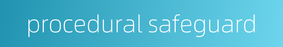 procedural safeguard的同义词