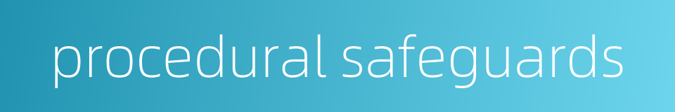 procedural safeguards的同义词