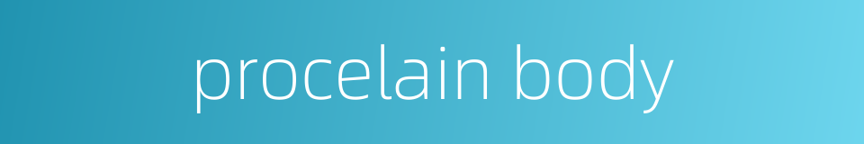 procelain body的同义词