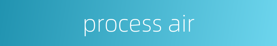 process air的同义词