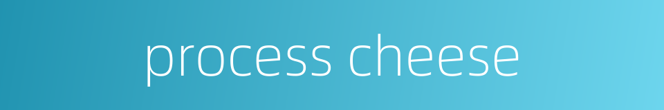 process cheese的同义词