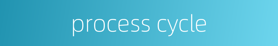 process cycle的同义词