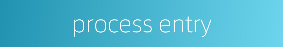 process entry的同义词