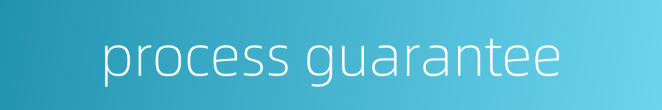 process guarantee的同义词
