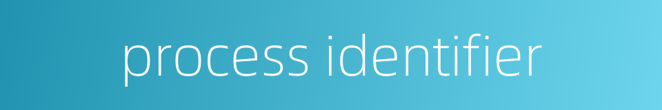 process identifier的同义词