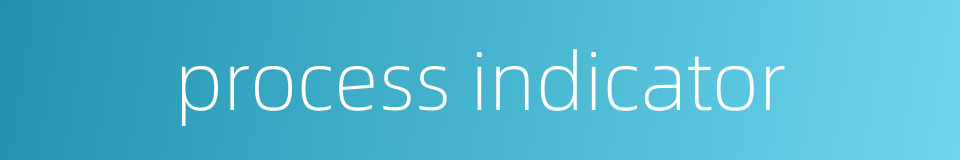 process indicator的同义词