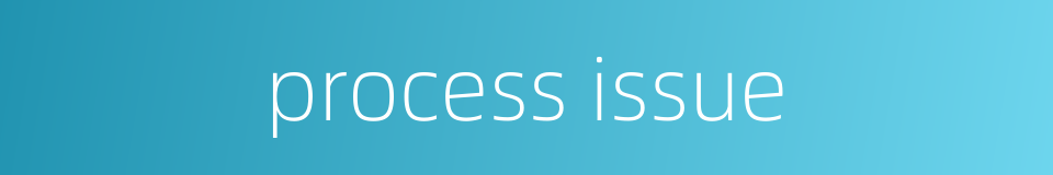 process issue的同义词