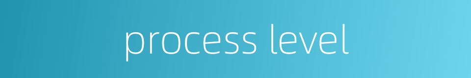 process level的同义词