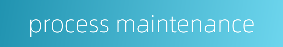 process maintenance的同义词