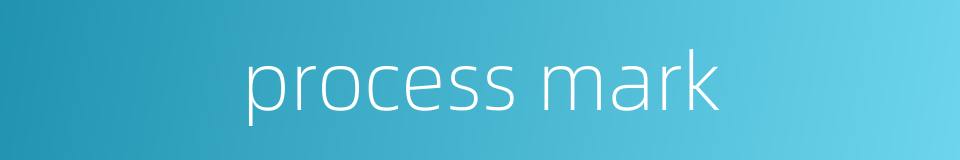 process mark的同义词