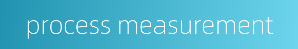 process measurement的同义词