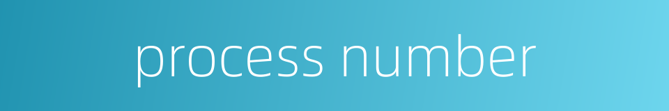 process number的同义词