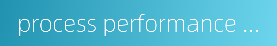 process performance management的同义词