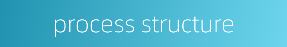 process structure的同义词