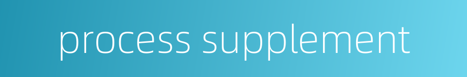 process supplement的同义词