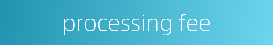 processing fee的同义词