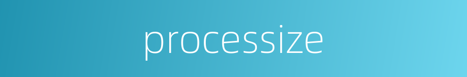 processize的同义词