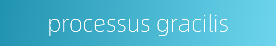 processus gracilis的同义词