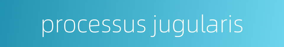 processus jugularis的同义词